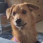 Ersteller:in Be Profilbild