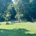 Hundeauslaufgebiet-Hundewiese Stausee Glauchau-Bild