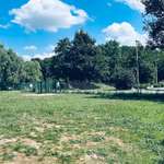 Hundeauslaufgebiet-Hundewiese Stausee Glauchau-Bild