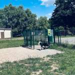 Hundeauslaufgebiet-Hundewiese Stausee Glauchau-Bild