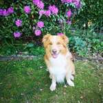 Ersteller:in Ole & Lena Profilbild