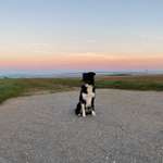 Ersteller:in Cindy Profilbild