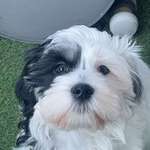 Ersteller:in Jelena Profilbild