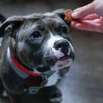 Ersteller:in Dominik Profilbild