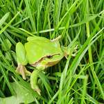 Ersteller:in Sigi Profilbild