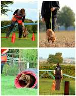 Fotochallenge 108: Starkes Team-Beitrag-Bild