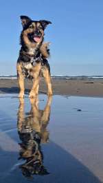 Fotochallenge Nr.100 Urlaubsimpressionen-Beitrag-Bild