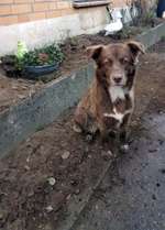 Fotochallenge 113: Auf frsicher Tat ertappt-Beitrag-Bild