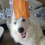 Ersteller:in Tatjana Profilbild