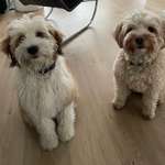 Ersteller:in Clara Profilbild