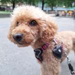 Ersteller:in Peggy Profilbild