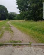 Hundeauslaufgebiet-Burgunderweg-Bild