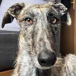 Ersteller:in Yoan Profilbild