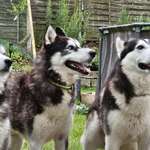 Ersteller:in Barbara Profilbild