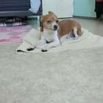 Ersteller:in Nini Profilbild