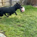 Ersteller:in Thomas Profilbild