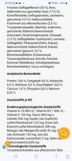 Gewichtsreduktion durch Futter: ist es sinnvoll 1/3 Diät-Futter zu füttern?-Beitrag-Bild