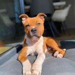 Ersteller:in Baris Profilbild