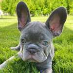 Ersteller:in Manuela Profilbild