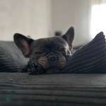 Ersteller:in Elena Profilbild