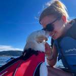 Ersteller:in C Profilbild