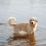 Ersteller:in Vivi Profilbild