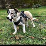 Ersteller:in Jennifer Profilbild