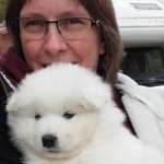 Ersteller:in Antje Profilbild