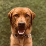 Ersteller:in Lucie Profilbild