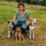 Ersteller:in Julia Profilbild