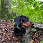 Ersteller:in Jasmin Profilbild