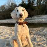 Ersteller:in Sabine Profilbild