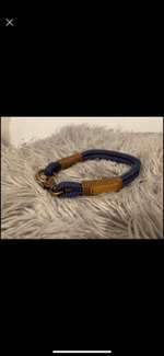 Verschiedene Halsbänder-Beitrag-Bild