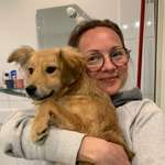 Ersteller:in Simone Profilbild