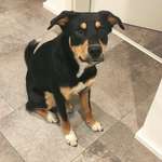 Ersteller:in Franzi Profilbild