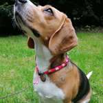 Ersteller:in leilaae Profilbild