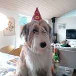 Ersteller:in Claudia Profilbild