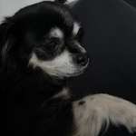 Ersteller:in Stephanie Profilbild