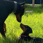 Ersteller:in Micha Profilbild