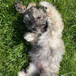 Ersteller:in Gaby Profilbild