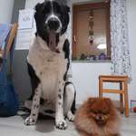 Ersteller:in Natalia Profilbild