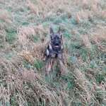 Ersteller:in Anne Profilbild