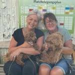 Ersteller:in Carmen Profilbild