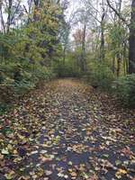 Hundeauslaufgebiet-Vingster Ring (Vingster Berg)-Bild