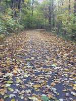 Hundeauslaufgebiet-Vingster Ring (Vingster Berg)-Bild