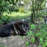 Ersteller:in Ulli Profilbild