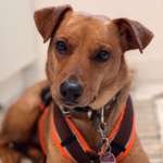 Ersteller:in Jana Profilbild