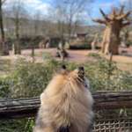 Ersteller:in Wiebke Profilbild