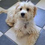 Ersteller:in Eva Profilbild