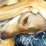 Ersteller:in Theresa Profilbild